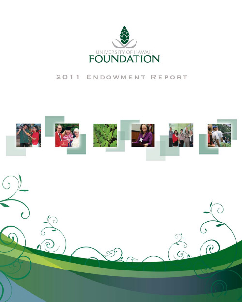 Endowment Report 2011 cover