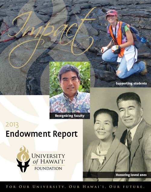 Endowment Report 2013 cover
