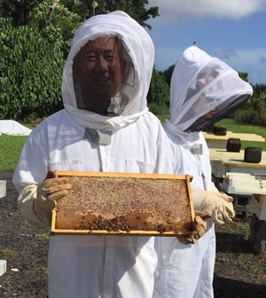 Vincent and Alison Shigekuni marveling at the honeycombs their bees have built