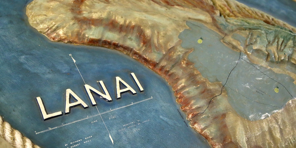 Relief Map