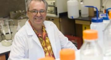 Research from Cellular to Global Scale