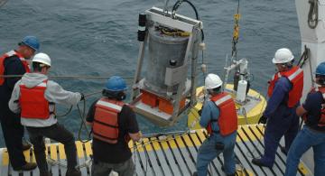 Discovering the Ocean’s Microbial Megacity