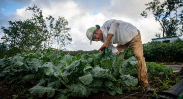GoFarm