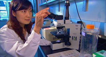 Cancer Research Saves Lives
