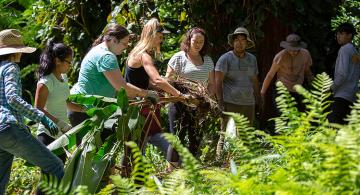 SURE students volunteer at Lyon Arboretum