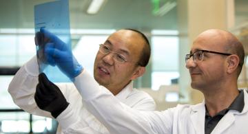 2 Cancer Center Researchers