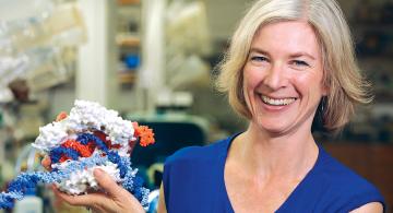 Jennifer Doudna posing with CRISPR model